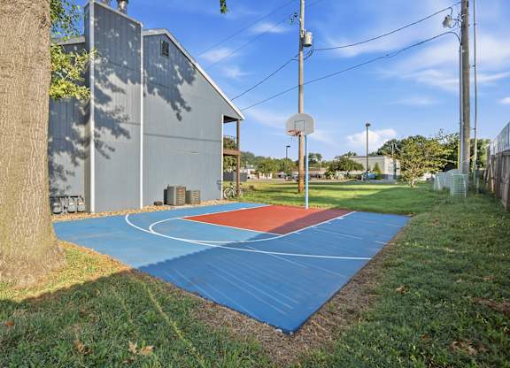 A basketball court with a blue surface and white lines is surrounded by grass and a tree.