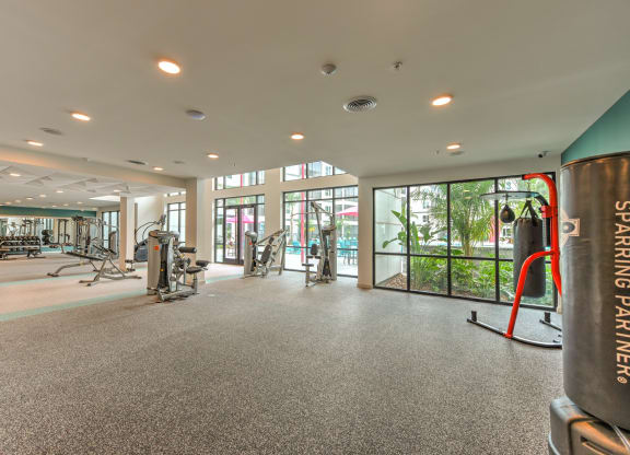 the gym at the preserve at ballantyne commons at Pinnacle Apartments, Jacksonville, FL, 32256