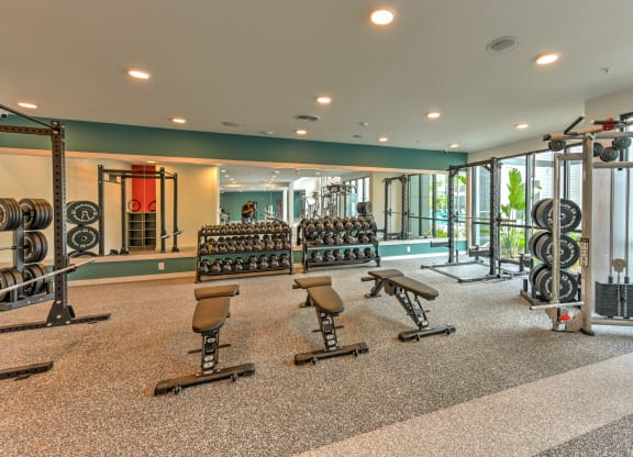 Modern Fitness Center at Pinnacle Apartments, Jacksonville, FL