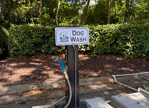 A sign that says Dog Wash is on a pole.