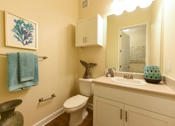 this is a photo of the bathroom of a 1 bedroom apartment at deer hill apartments in c at Palm Bay Club, Jacksonville, 32258