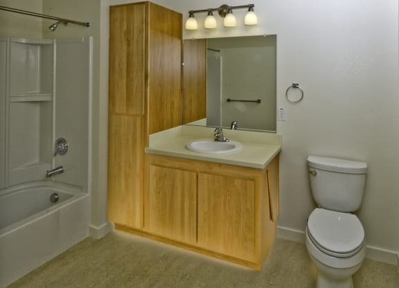 Interior Bathroom