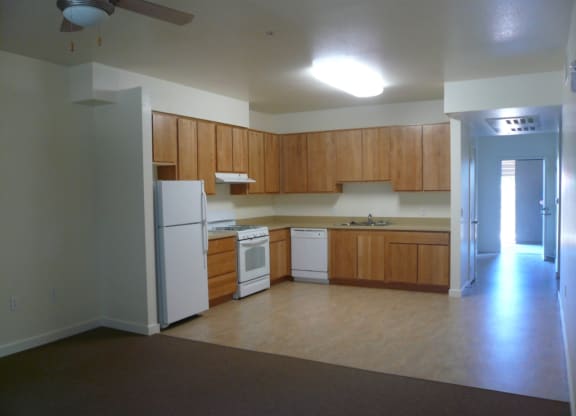 Interior Kitchen