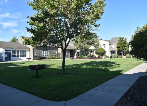 Dixieanne/Victory Mutual Housing lawn