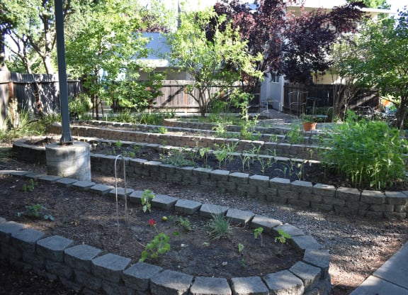 Moore Village Mutual Housing Community community garden bed