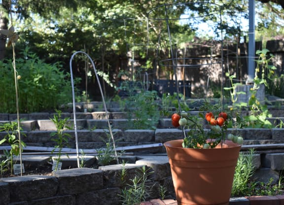 Moore Village Mutual Housing Community community garden bed