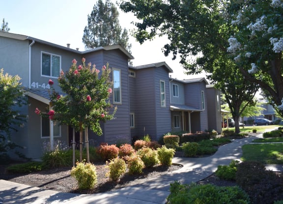 Mutual Housing at Sky Park exterior photo - units and lawn/pathway