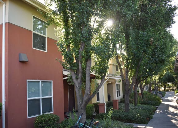 Tremont Green Mutual Housing Community unit exterior, trees, sidewalks