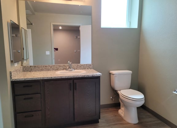 Bathroom vanity with dark wood and granite counters, with white toilet in bathroom
