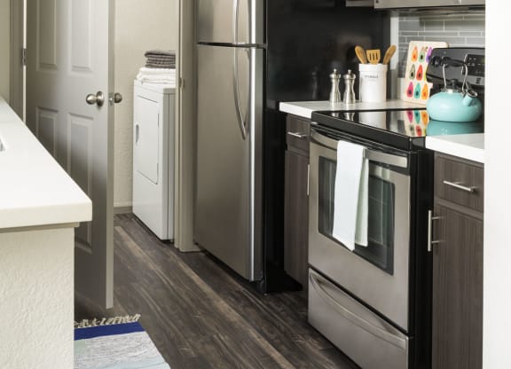 our apartments have a modern kitchen with stainless steel appliances