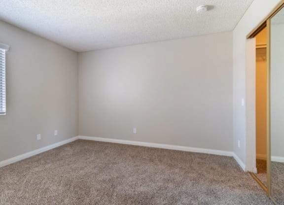 an empty room with a mirror and a carpeted floor