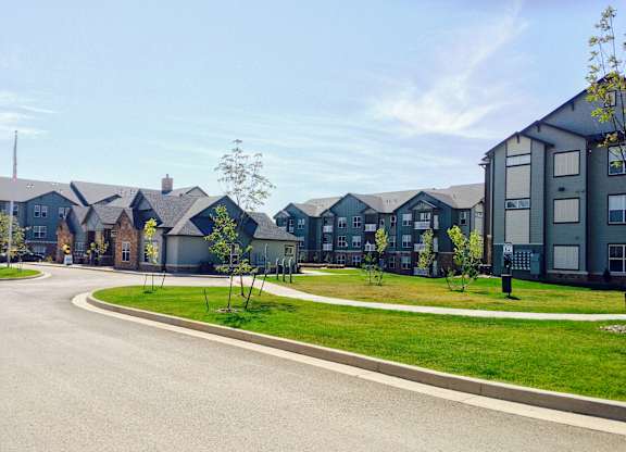 A row of houses with a tree in front of them.