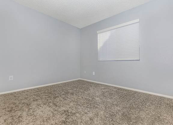 A room with a carpeted floor and a window with blinds.