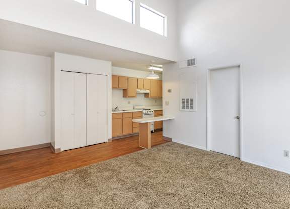 A room with a brown rug and a kitchen area in the background.