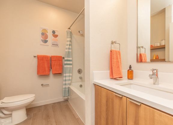 A bathroom with a toilet, sink, and a shower.