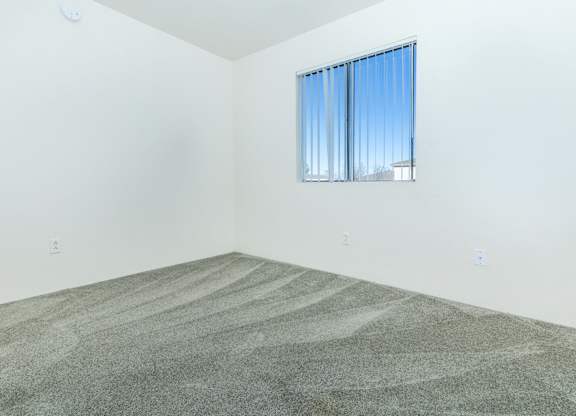 A room with a carpeted floor and a window with blinds.
