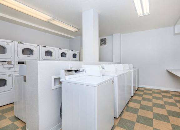 A row of white washing machines in a laundry room.