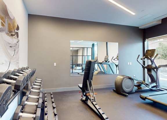 A gym with a row of dumbbells and exercise equipment.
