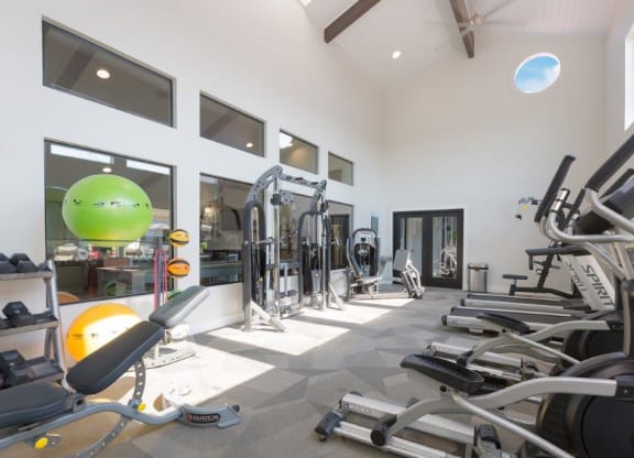 a gym with weights and a green ball on the floor