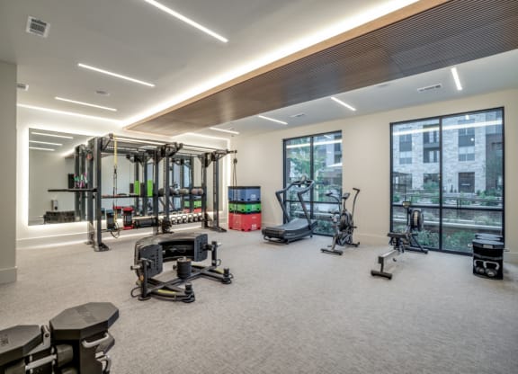 a workout room with weights and cardio equipment on the floor and large windows