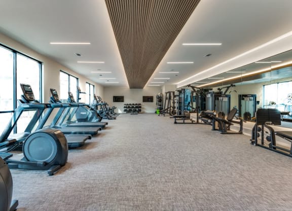 a gym with cardio machines and weights on the floor