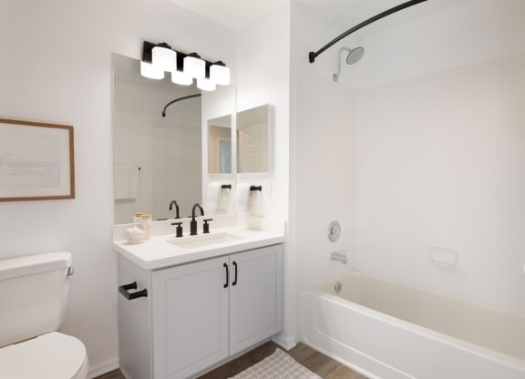 a bathroom with a sink toilet and bathtub