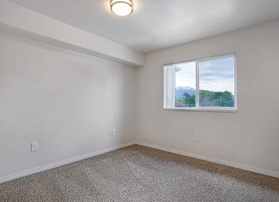 A room with a carpeted floor and a window showing a view of the outdoors.
