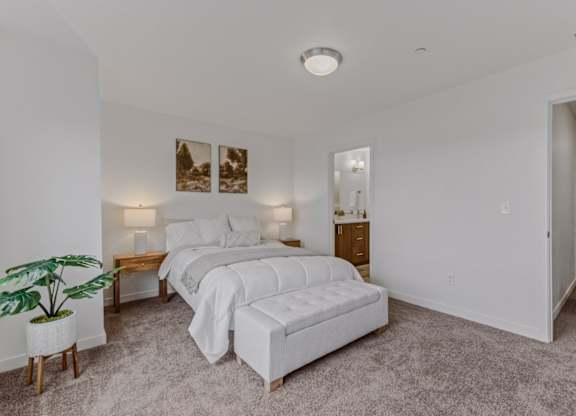 A bedroom with two beds and a potted plant.
