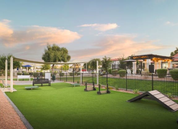 a dog park with agility courses and a fence