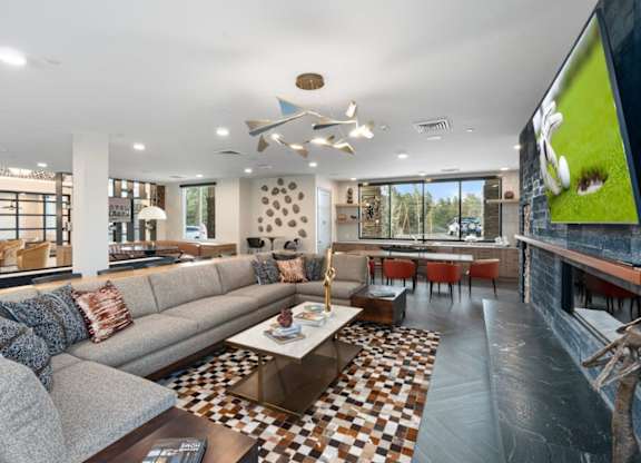 Clubhouse with seating area and large TV