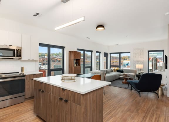 Arterra KC Kitchen and Living Room
