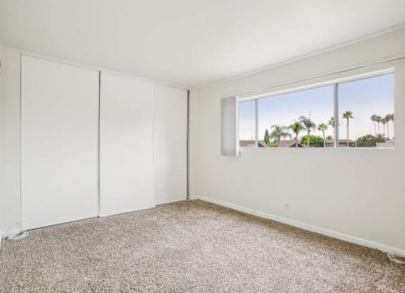 A room with white walls and carpeted floor with a window showing a view of palm trees.