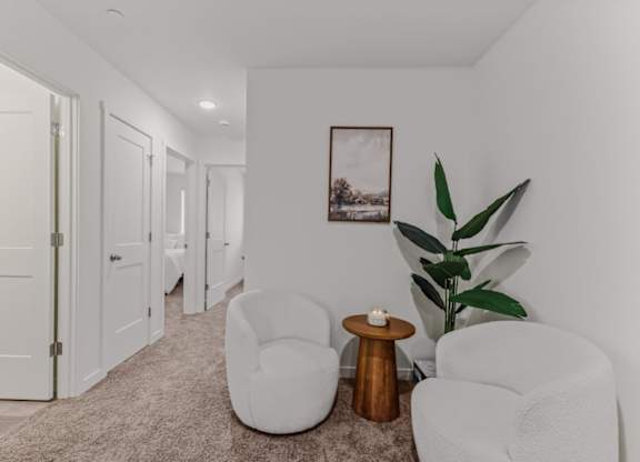 A living room with a large plant, two chairs and a table.