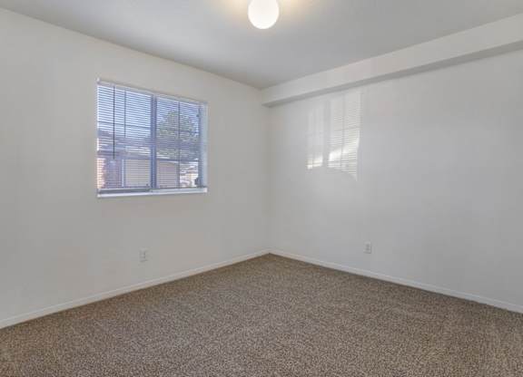 A room with a carpeted floor and a window with blinds.