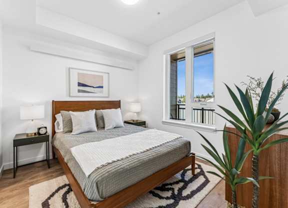 A bedroom with a large bed, a nightstand with a lamp, a framed picture on the wall, and a potted plant.
