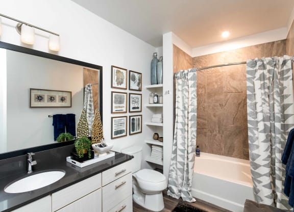 TriVista on Speer Model Bathroom