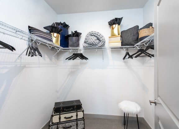 TriVista on Speer Model Large Closet