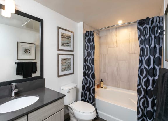 TriVista on Speer Model Bathroom