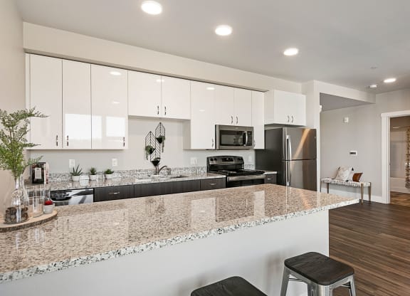TheNest_Bend_OR_Interior_Model_203_Kitchen