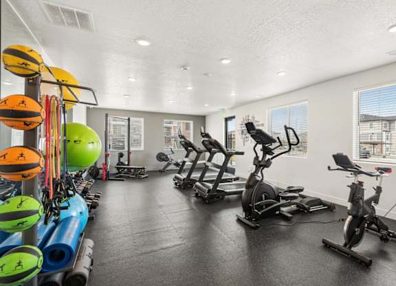 A gym with exercise equipment and a row of exercise balls.