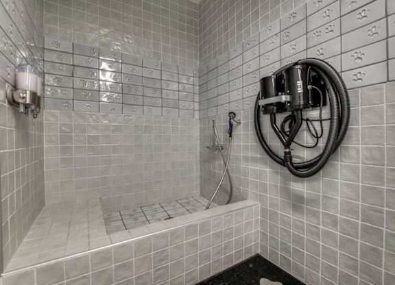 A bathroom with a shower and a hose.
