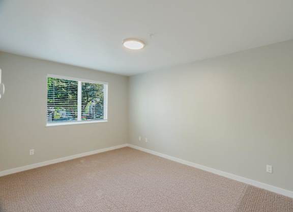 A room with a window and a carpeted floor.
