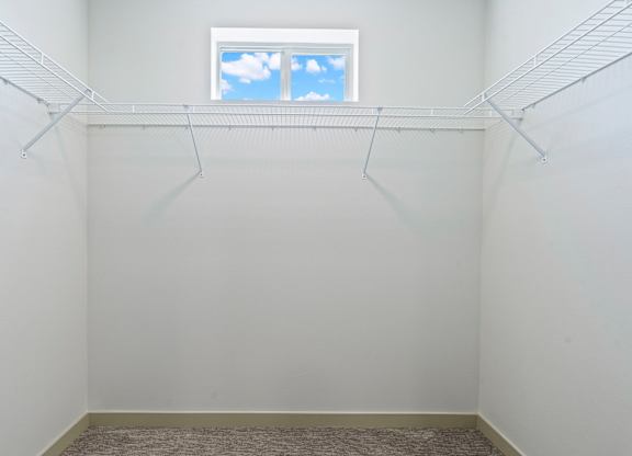 Empty white room with a window and hangers on the wall.
