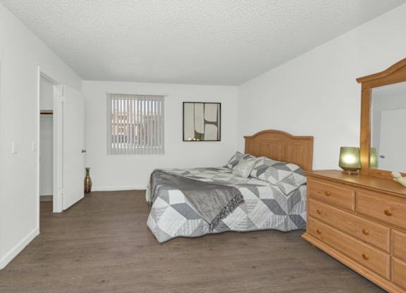 A bedroom with a bed, dresser, and mirror.