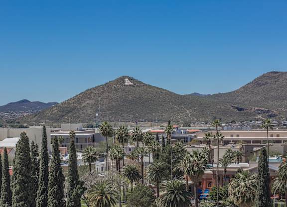 A mountain with a white peak rises over a town with palm trees at Herbert Residential, Tucson, 85701
