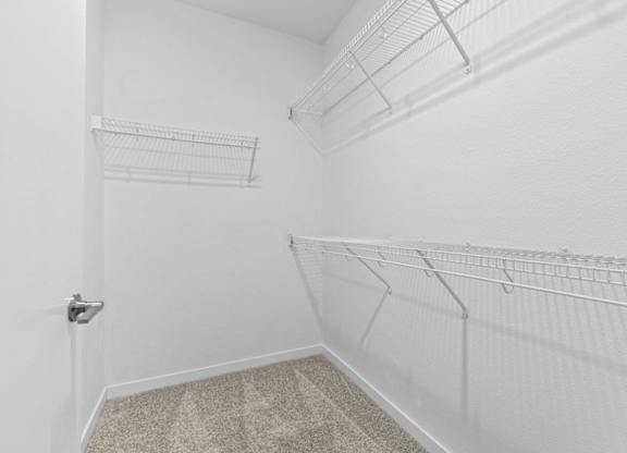 A white closet with a carpeted floor and a door on the left.