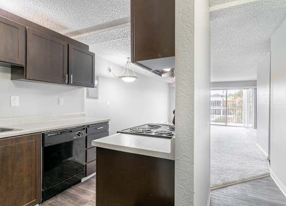 Luxe at Meridian Apartments Kitchen and Living Room