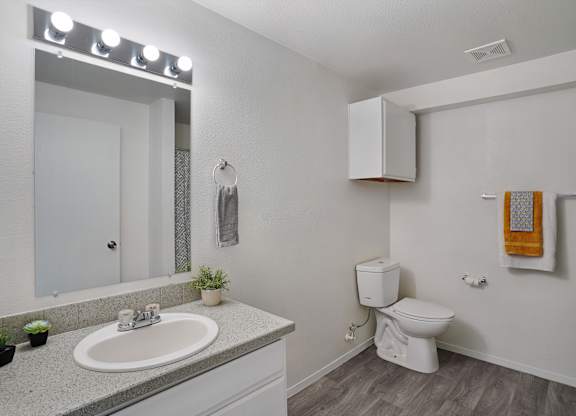 A bathroom with a white toilet and a sink with a mirror above it.