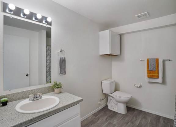 A bathroom with a white toilet and a grey counter top.