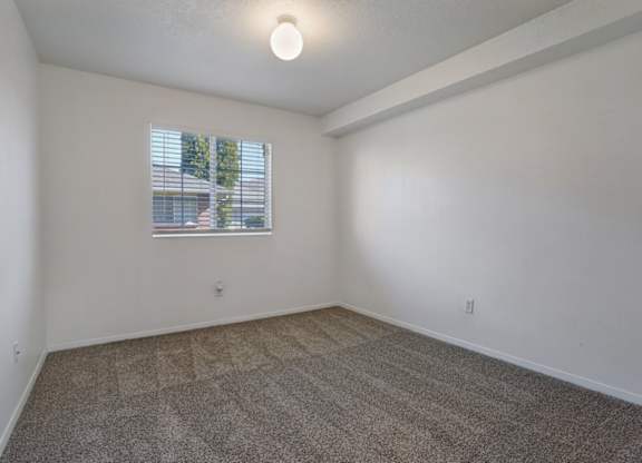 A room with a carpeted floor and a window with blinds.